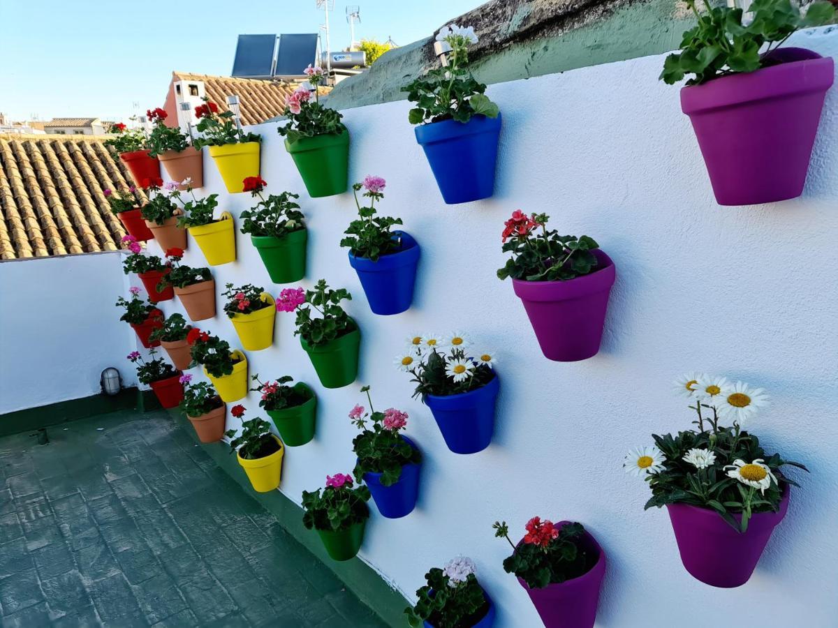 Hostal Funky By Arc House Córdoba Eksteriør bilde
